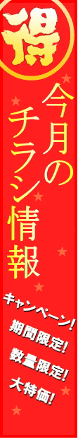今月のチラシ情報。